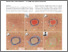 [thumbnail of Skin_Research_and_Technology_-_2024_-_Deussing_-_Unveiling_the_hidden_boundaries__AI‐assisted_line‐field_optical_coherence.pdf]